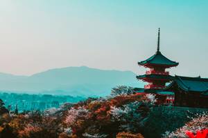Japan Rundreise 14 Tage - Miyajima Torii im Meer